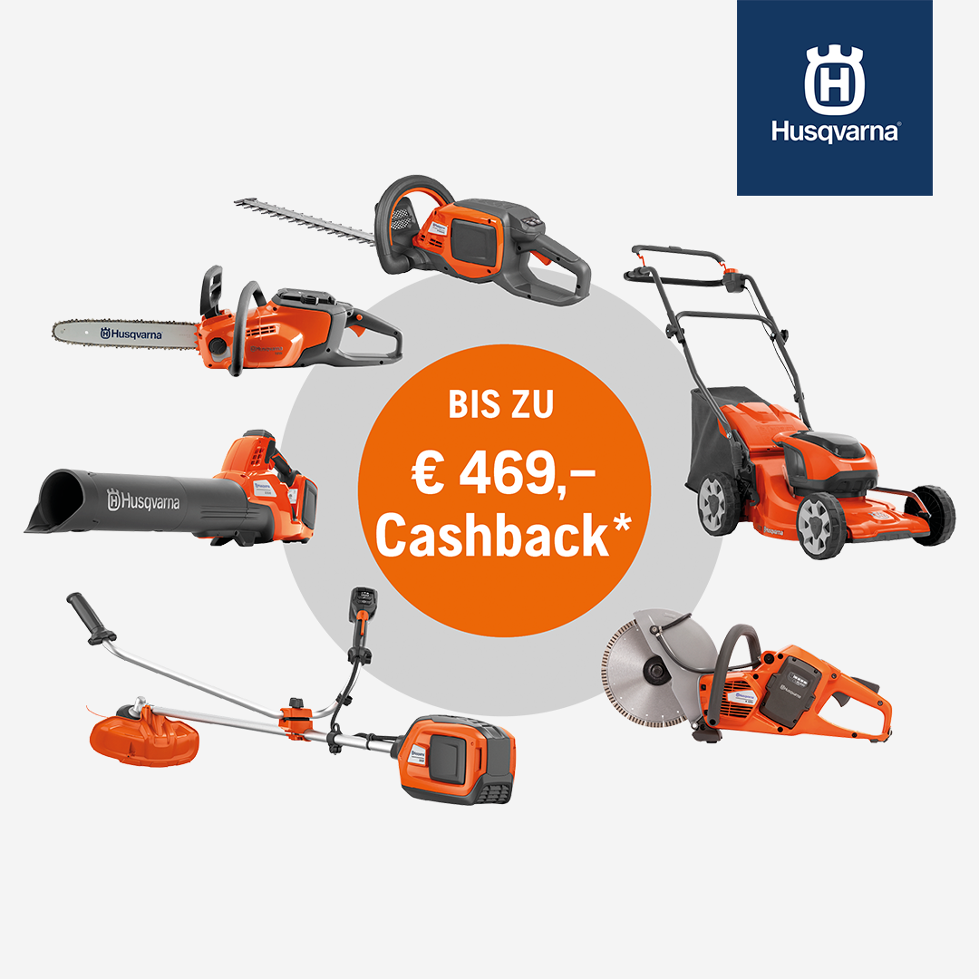 Cashback 2025