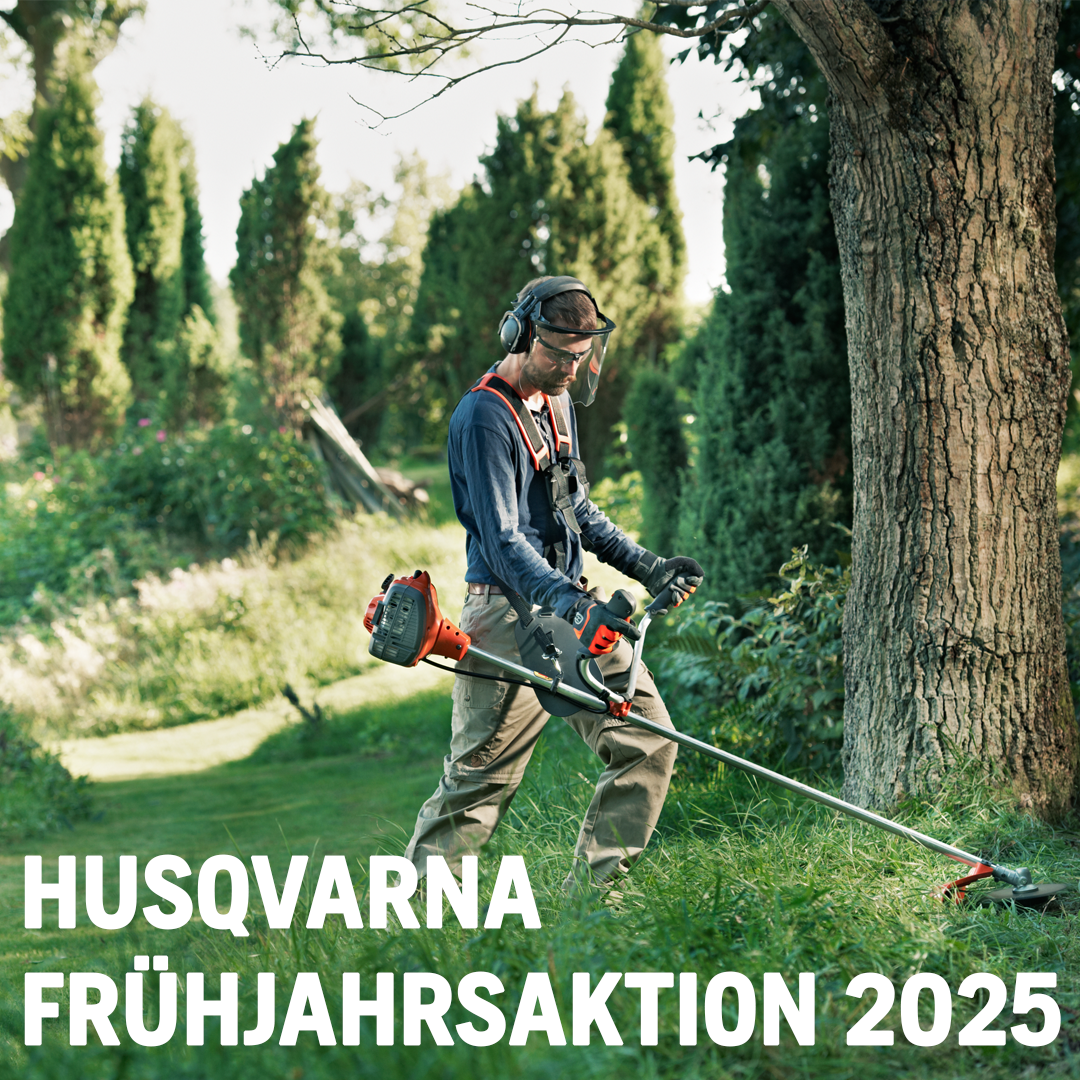 Frühjahrsaktion 2025